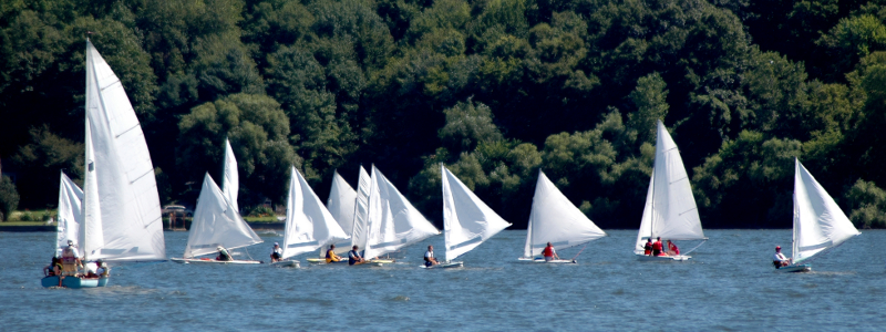 regatta regatta
